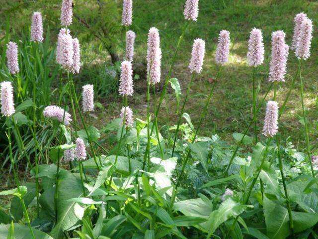 Kettle House B&B Fort Augustus Luaran gambar