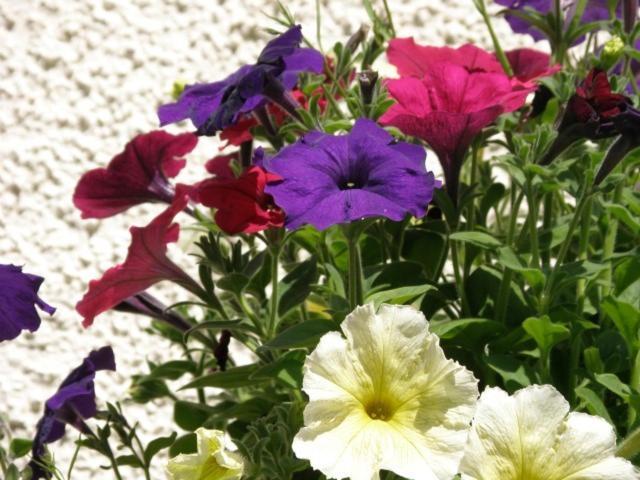 Kettle House B&B Fort Augustus Luaran gambar