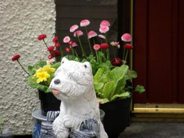 Kettle House B&B Fort Augustus Luaran gambar