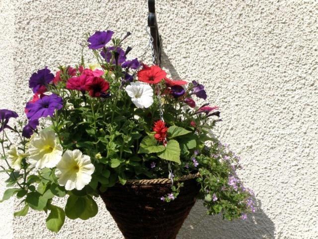 Kettle House B&B Fort Augustus Luaran gambar