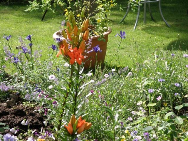 Kettle House B&B Fort Augustus Luaran gambar