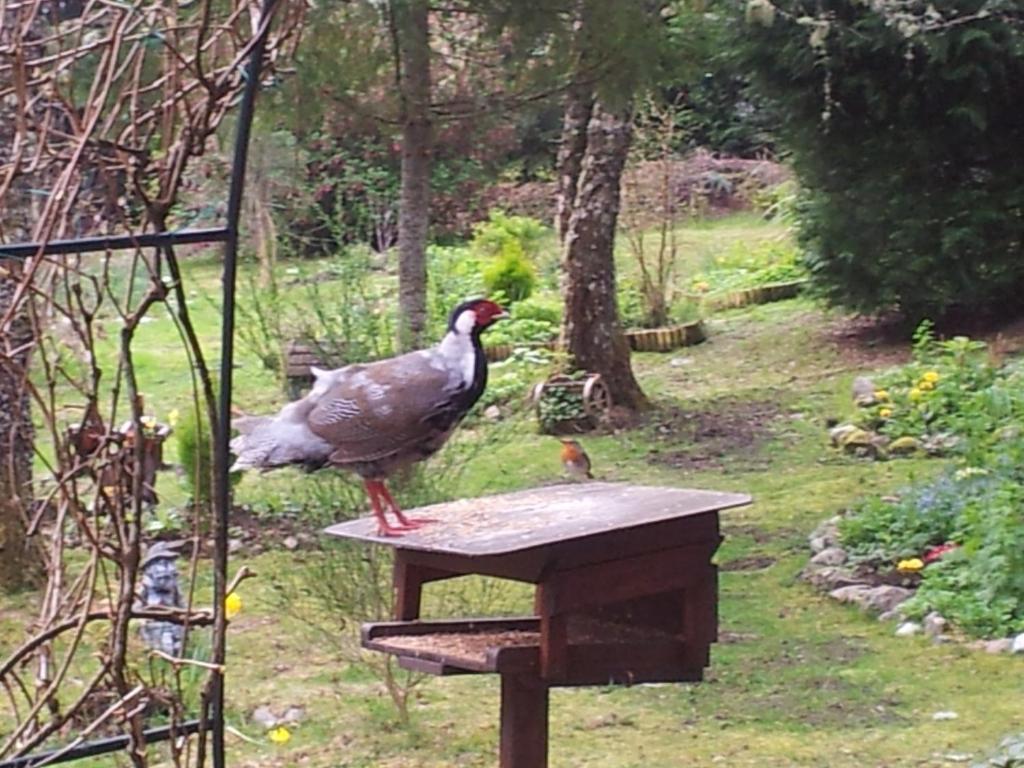 Kettle House B&B Fort Augustus Luaran gambar